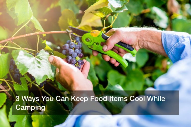 3 Ways You Can Keep Food Items Cool While Camping