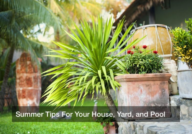 Summer Tips For Your House, Yard, and Pool