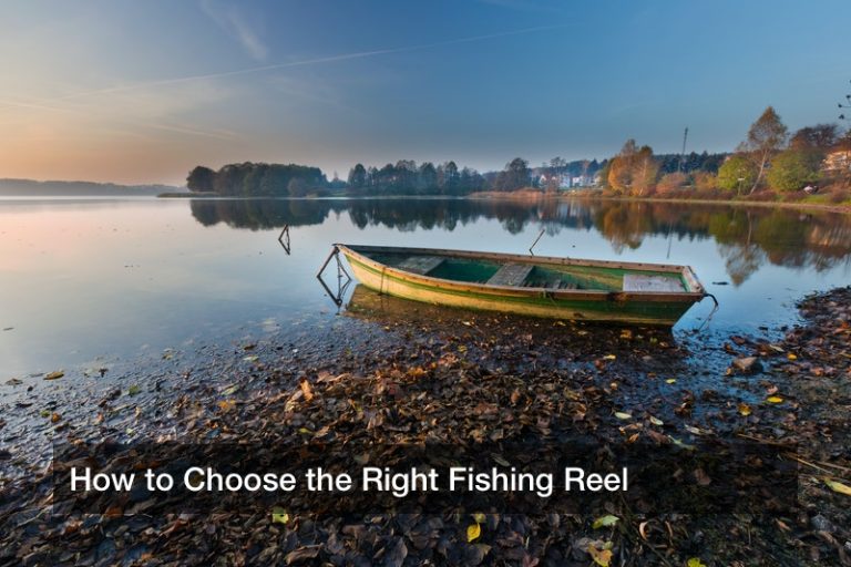 How to Choose the Right Fishing Reel